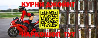 гидра Свободный