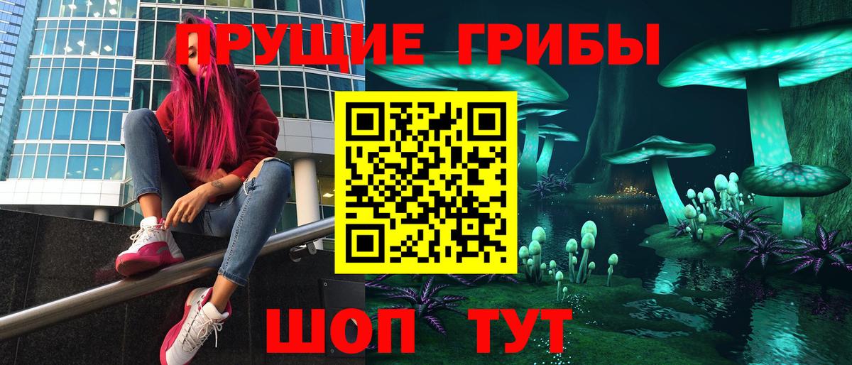 как найти закладки  Галлюциногенные грибы мухоморы  Омск  Вход с VPN  Псилоцибиновые грибы GOLDEN TEACHER 