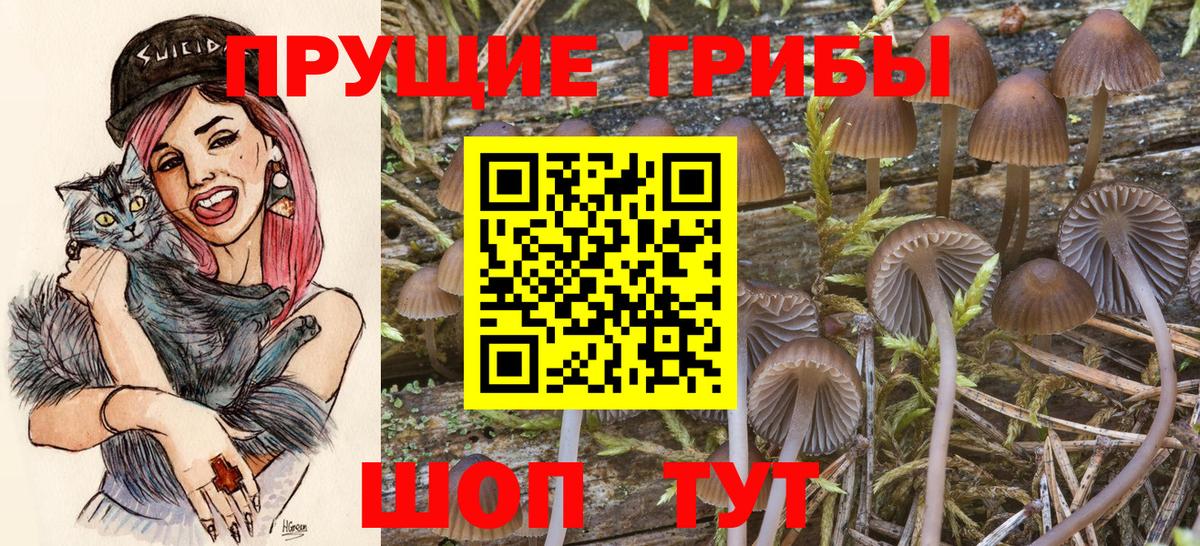 Галлюциногенные грибы GOLDEN TEACHER Омск